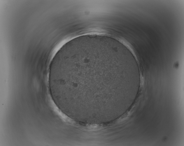 X0000111471099200907201131