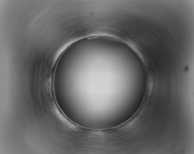 X0000111471100200907201131