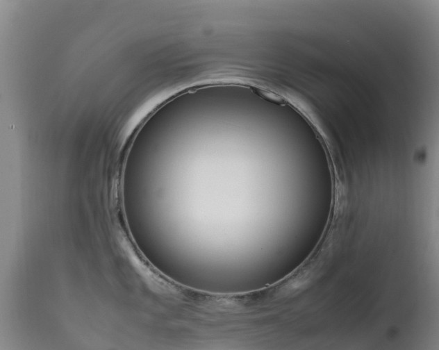 X0000111471101200907201131