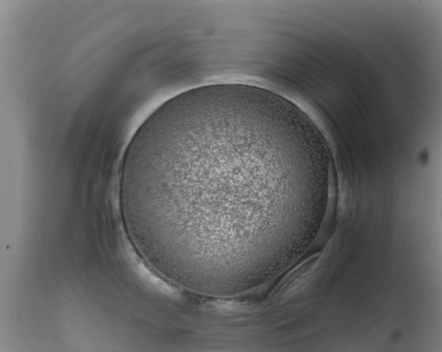 X0000111471102200907201131