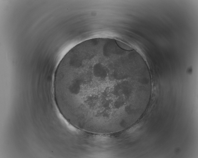 X0000111471103200907201131