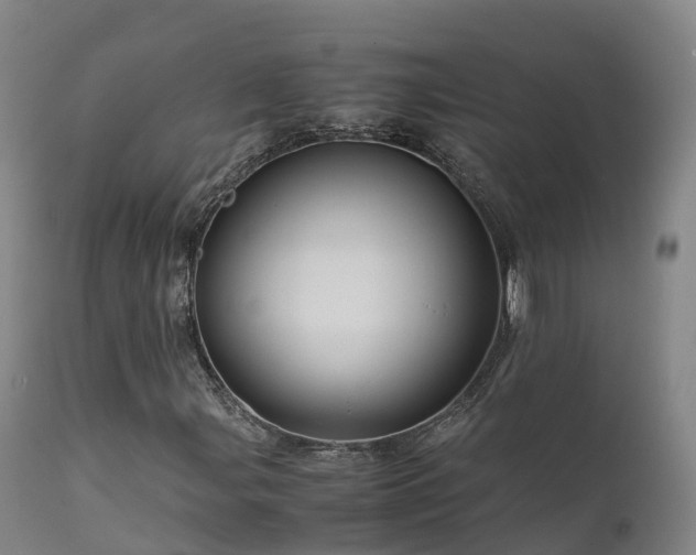 X0000111471107200907201130