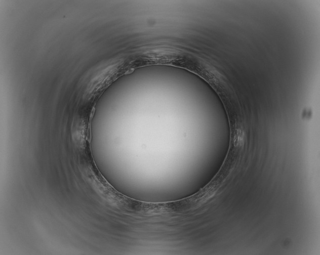 X0000111471108200907201130