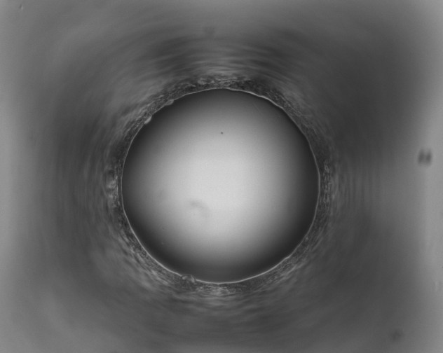 X0000111471109200907201130