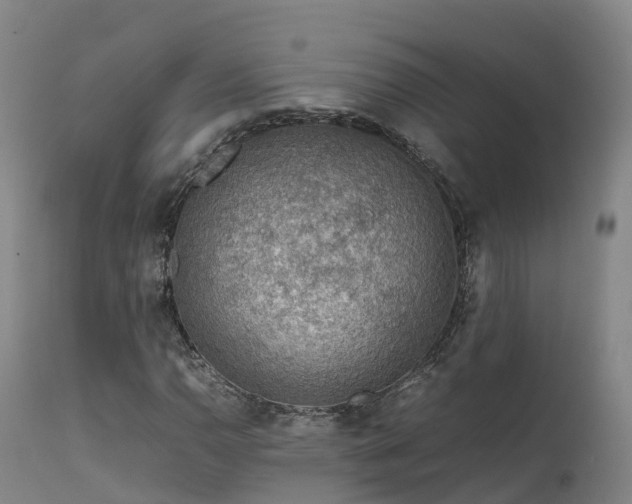 X0000111471110200907201130