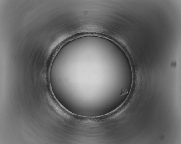 X0000111471114200907201130