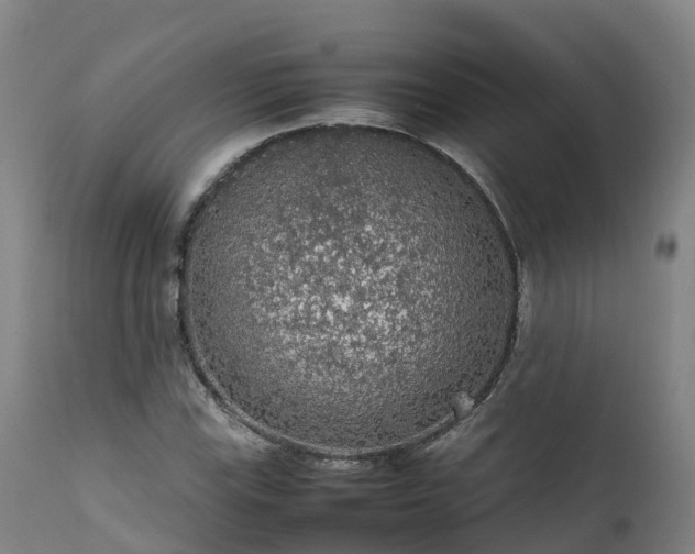 X0000111471115200907201130