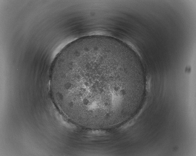 X0000111471117200907201130