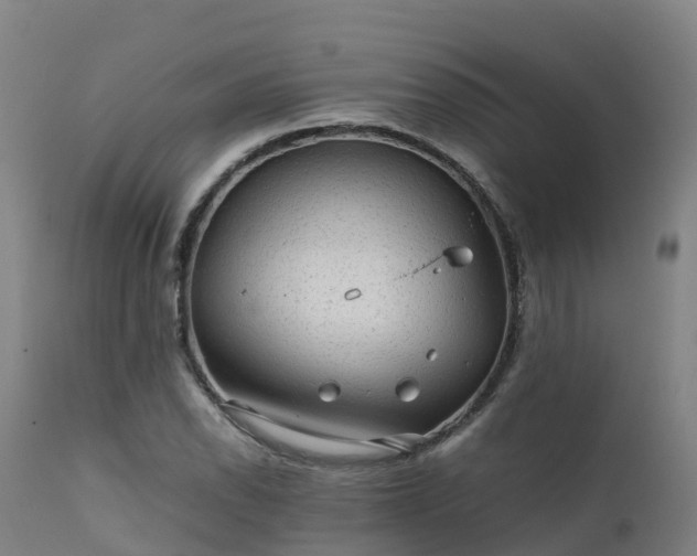 X0000111471118200907201130