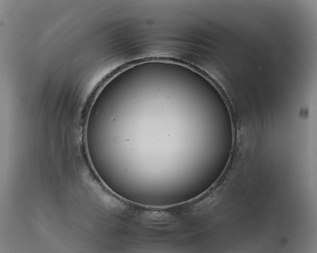 X0000111471119200907201130