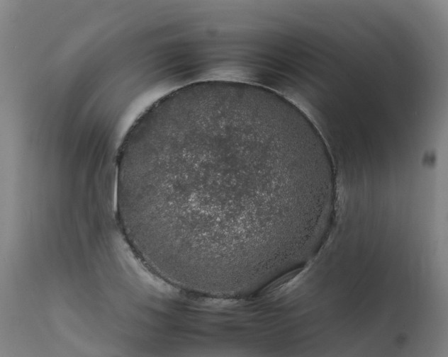 X0000111471123200907201130