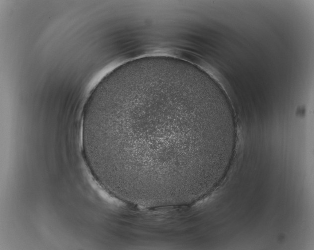 X0000111471127200907201130