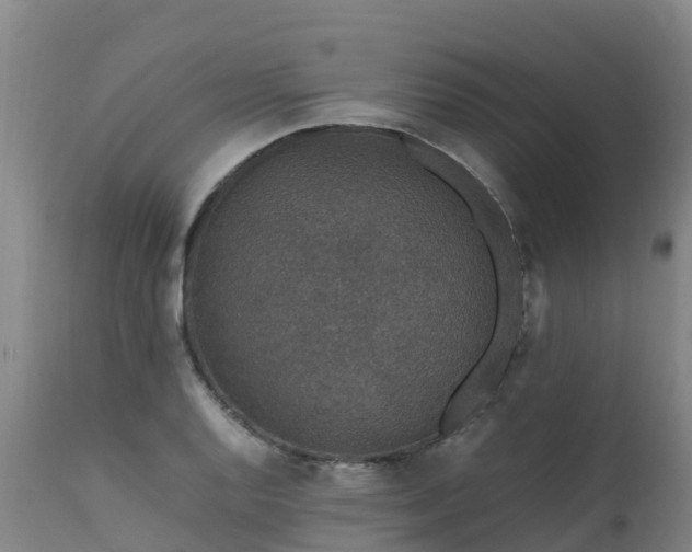 X0000111471128200907201130