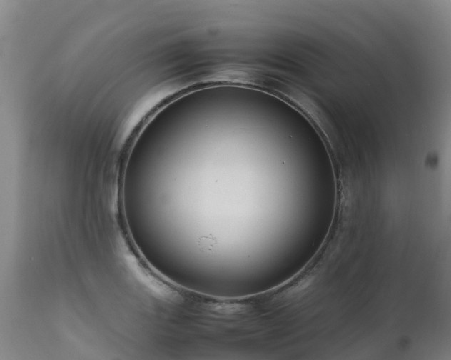 X0000111471131200907201130