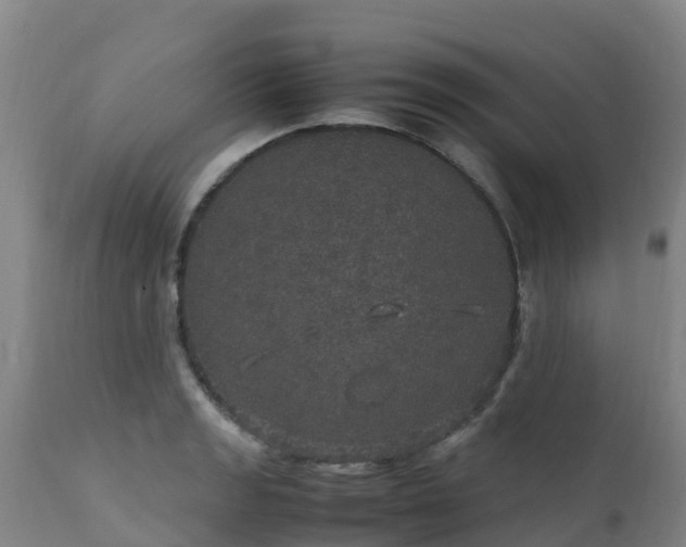 X0000111471133200907201130