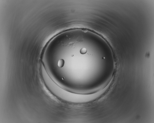 X0000111471134200907201130