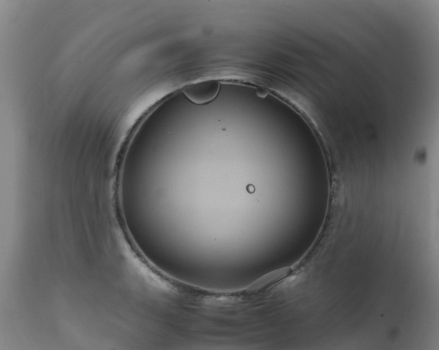 X0000111471135200907201130