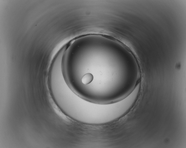 X0000111471136200907201130