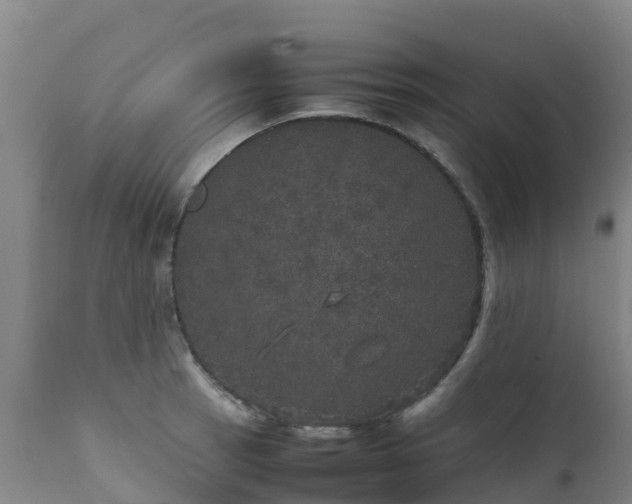 X0000111471137200907201130