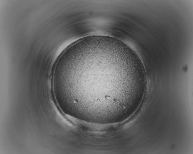 X0000111471141200907201130