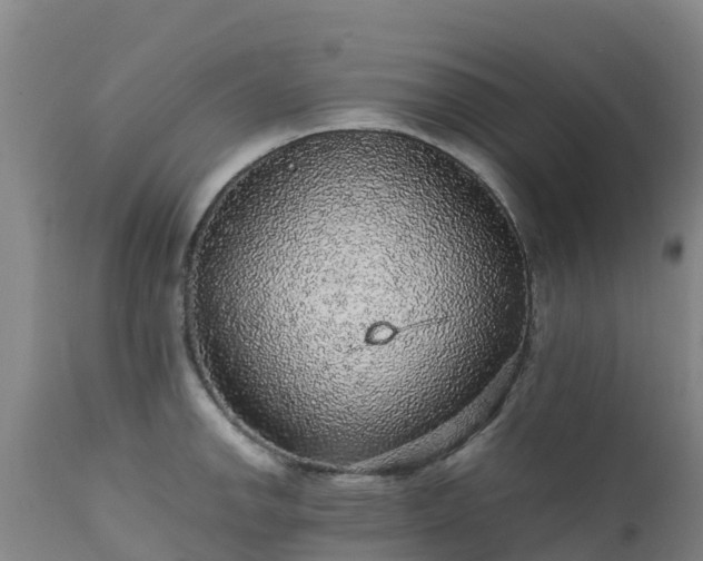 X0000111471142200907201130