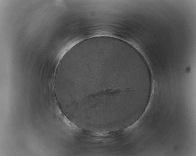 X0000111471145200907201130