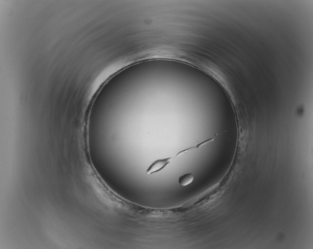 X0000111471146200907201130