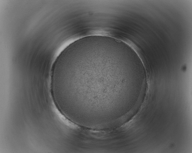 X0000111471147200907201130