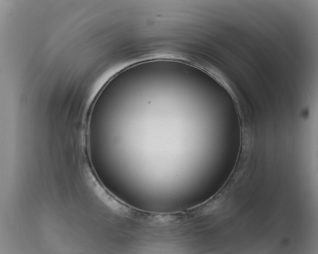 X0000111471148200907201130