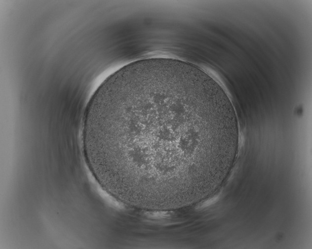 X0000111471149200907201130