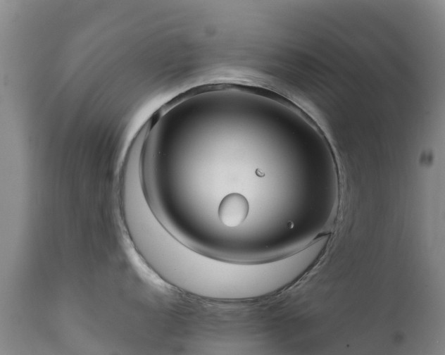 X0000111471152200907201131