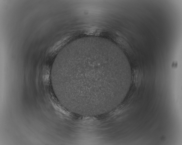 X0000111471154200907201130