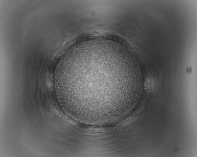 X0000111471156200907201130