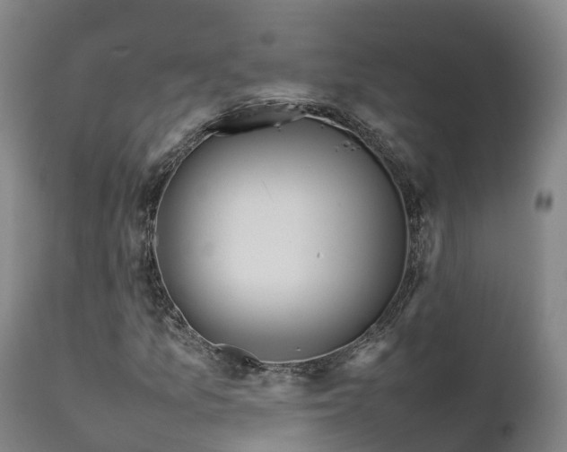 X0000111471157200907201130