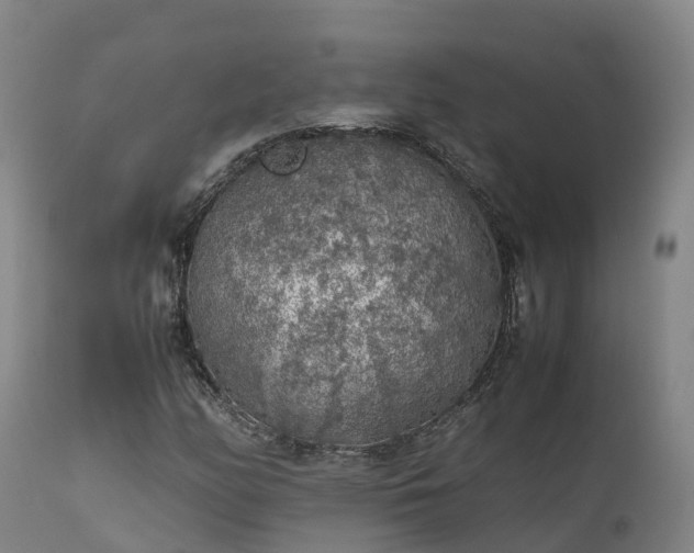 X0000111471158200907201130