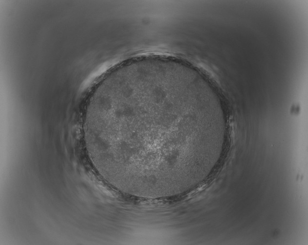 X0000111471159200907201130