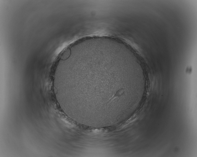 X0000111471160200907201130