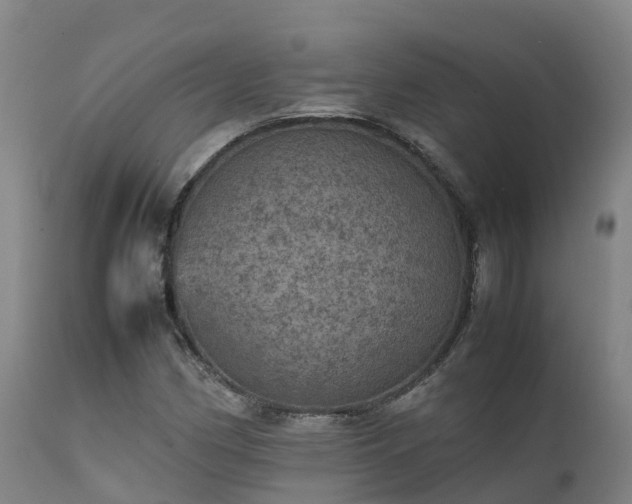 X0000111471162200907201130