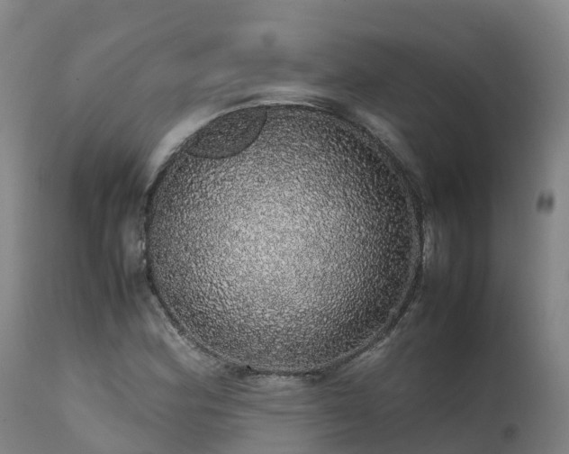 X0000111471164200907201130