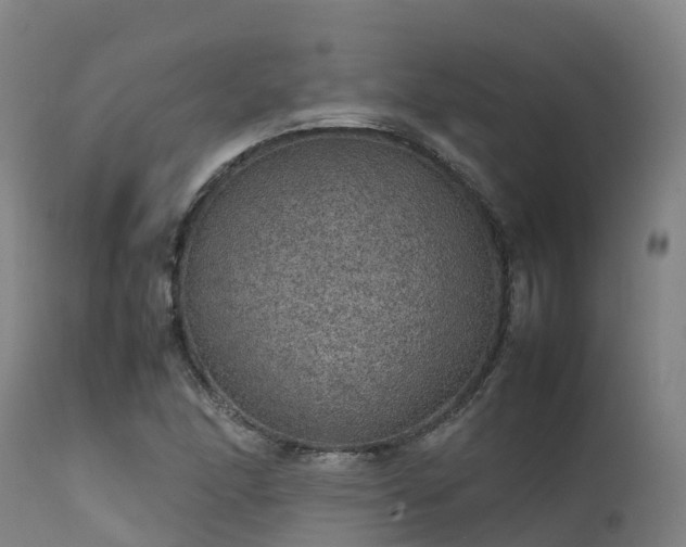 X0000111471166200907201130