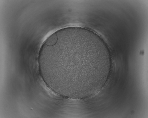 X0000111471168200907201130