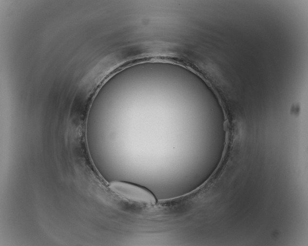 X0000111471169200907201130