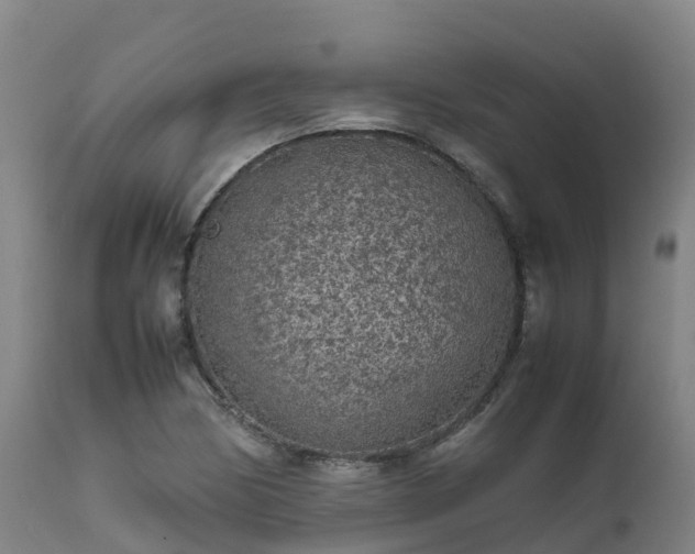 X0000111471170200907201130