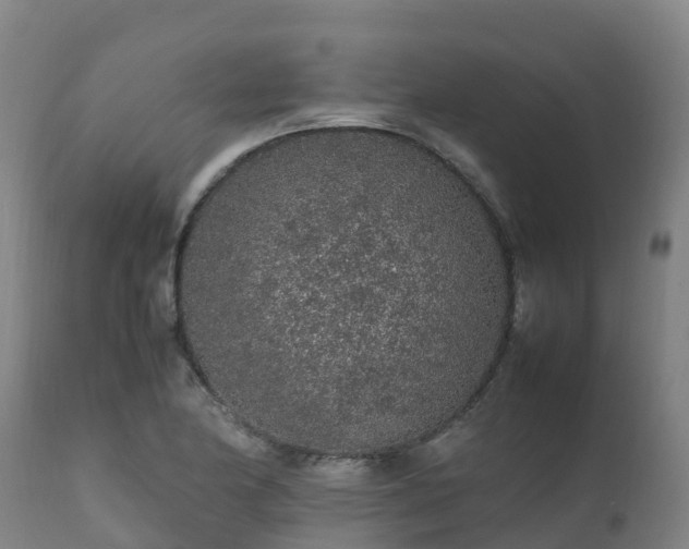 X0000111471174200907201130