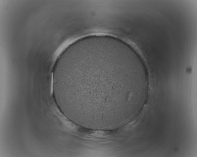 X0000111471175200907201130