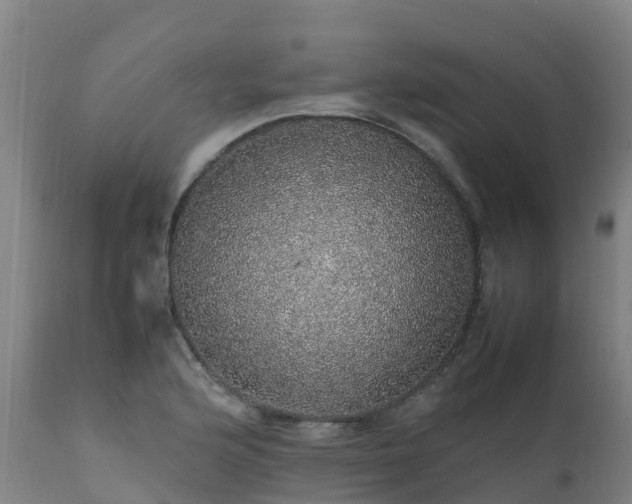 X0000111471176200907201130