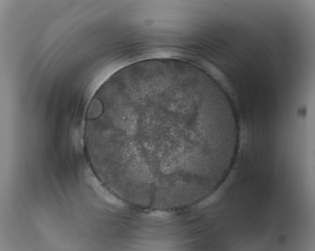 X0000111471178200907201129