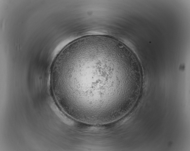 X0000111471179200907201129