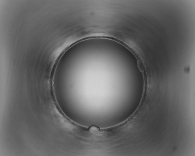 X0000111471181200907201129