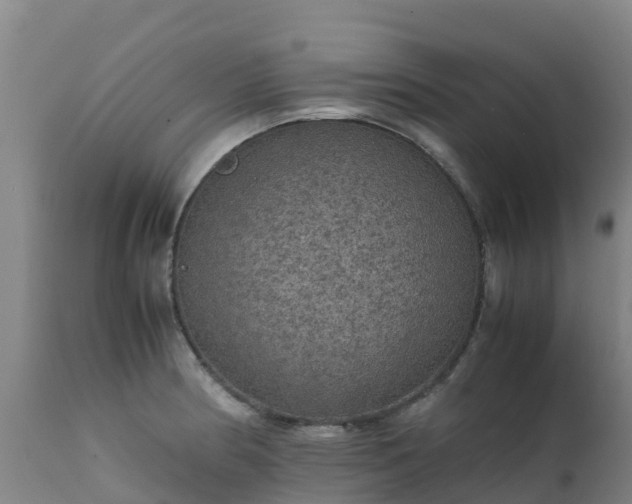 X0000111471186200907201129